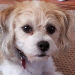 Meet your Posher, Beth